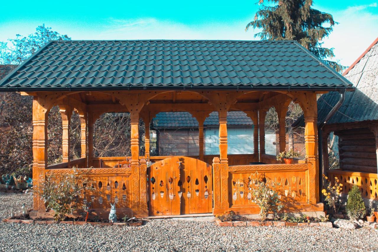 La Rodica In Vale Guest House Ocna Sugatag Ngoại thất bức ảnh