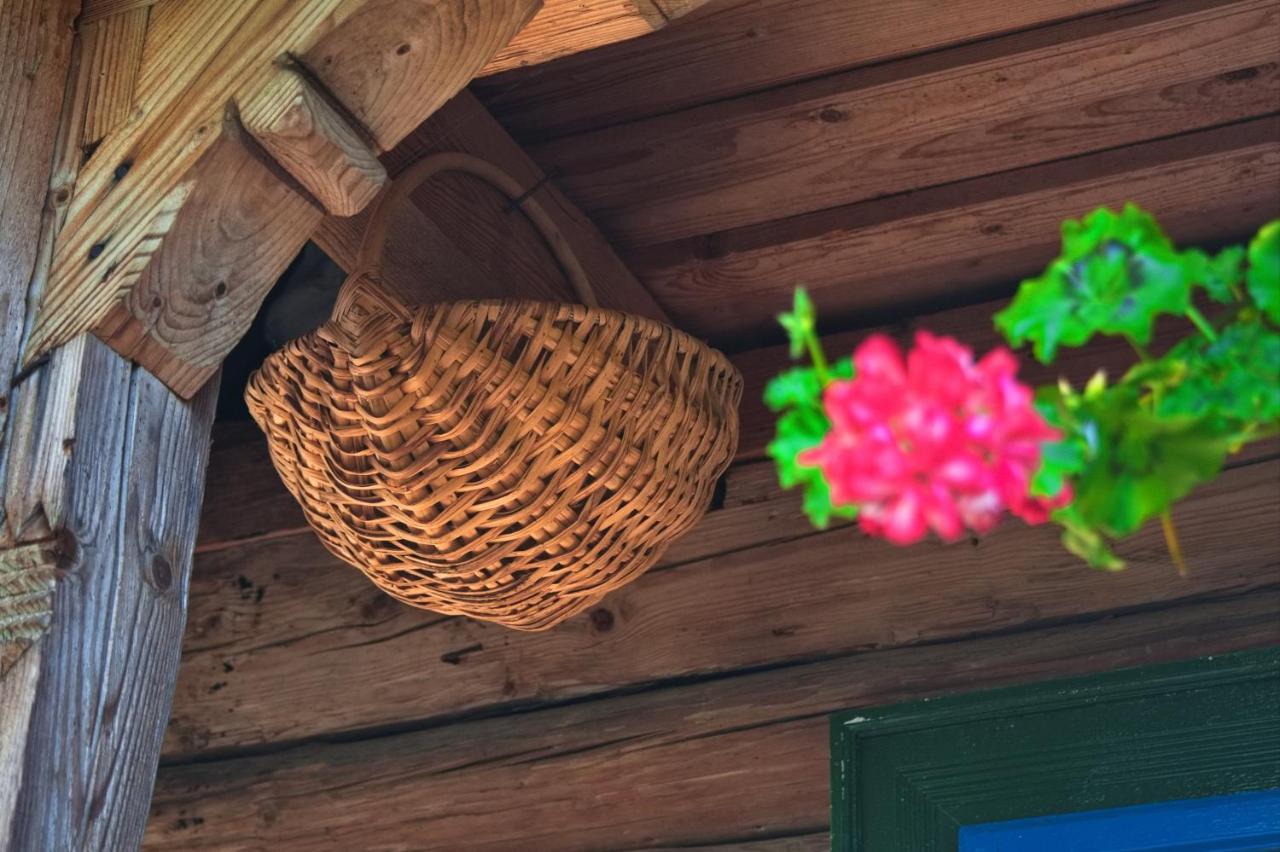 La Rodica In Vale Guest House Ocna Sugatag Ngoại thất bức ảnh