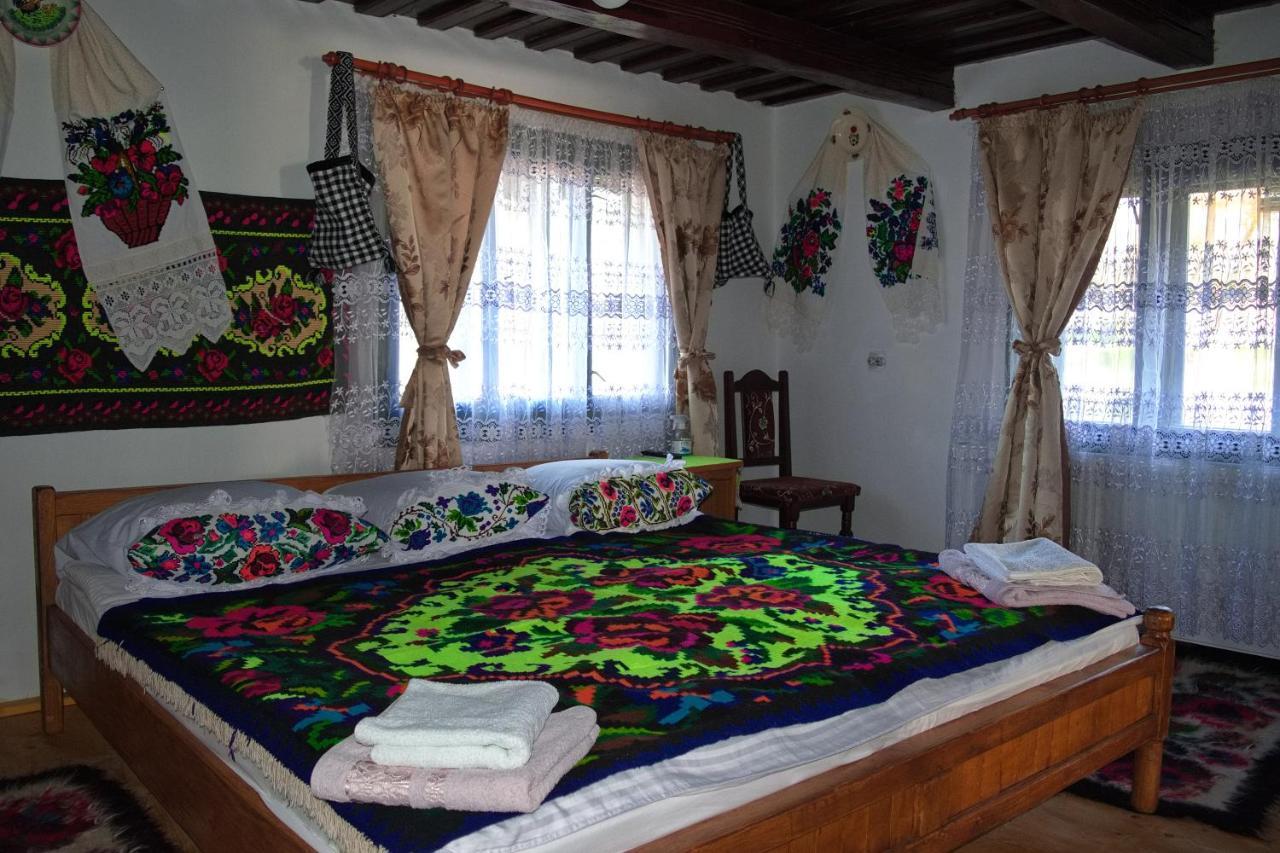 La Rodica In Vale Guest House Ocna Sugatag Ngoại thất bức ảnh