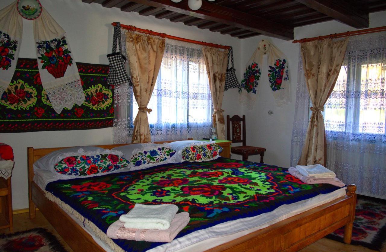 La Rodica In Vale Guest House Ocna Sugatag Ngoại thất bức ảnh