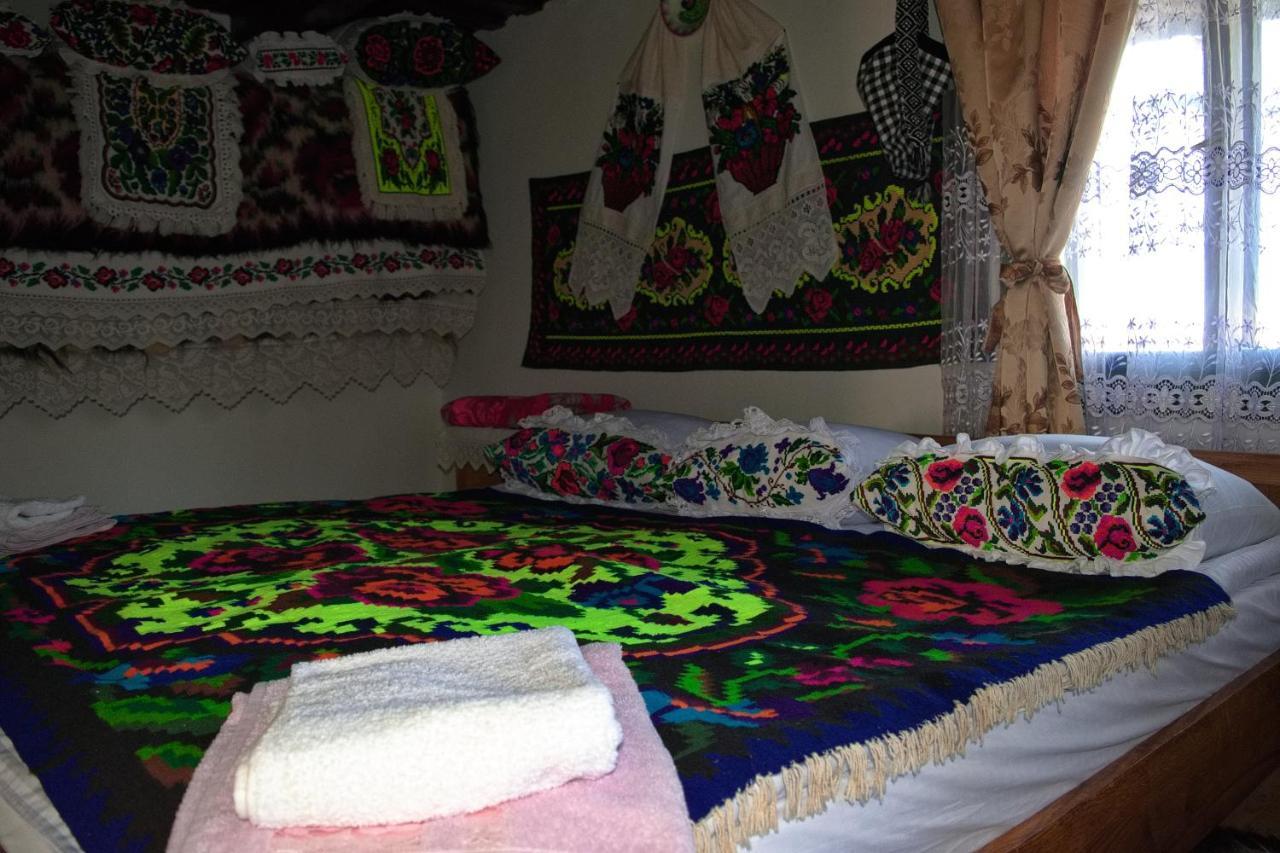 La Rodica In Vale Guest House Ocna Sugatag Ngoại thất bức ảnh