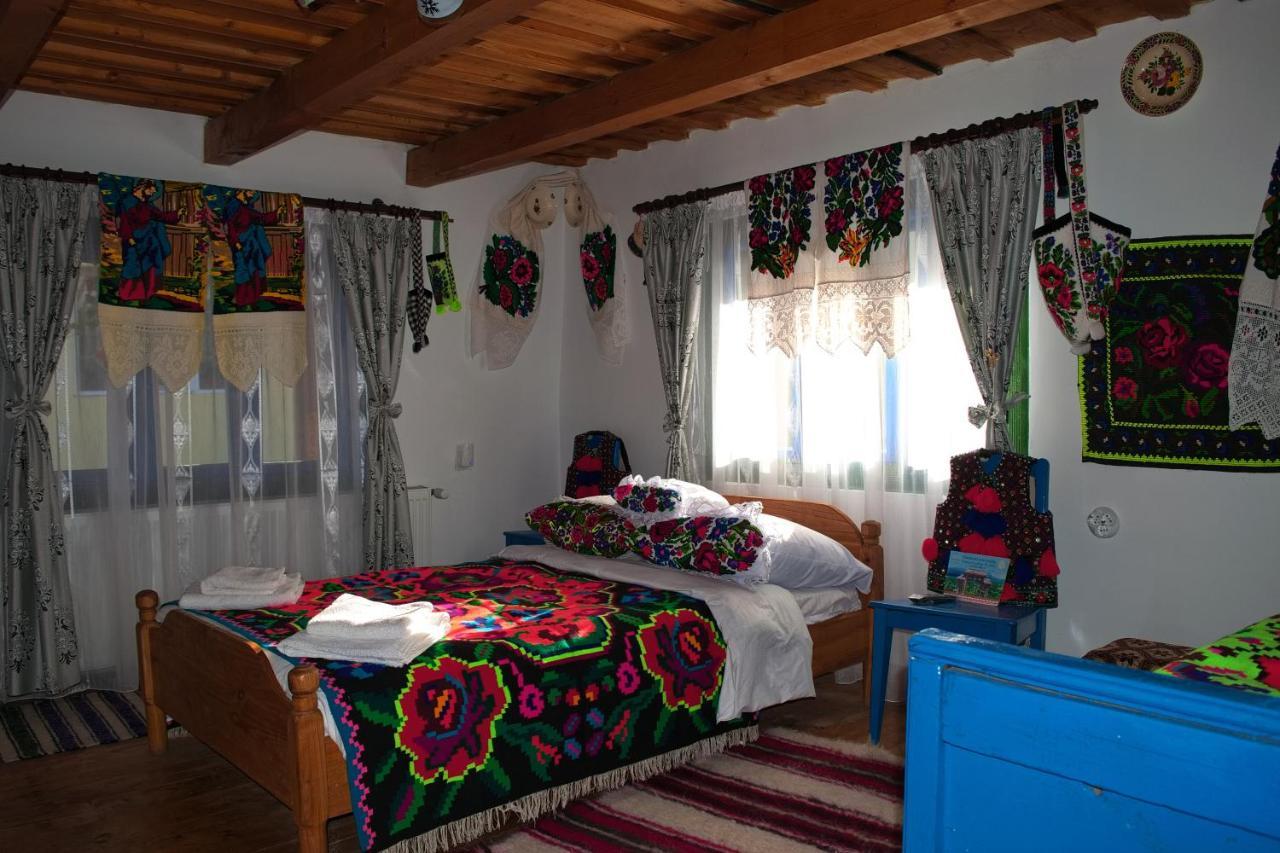 La Rodica In Vale Guest House Ocna Sugatag Ngoại thất bức ảnh