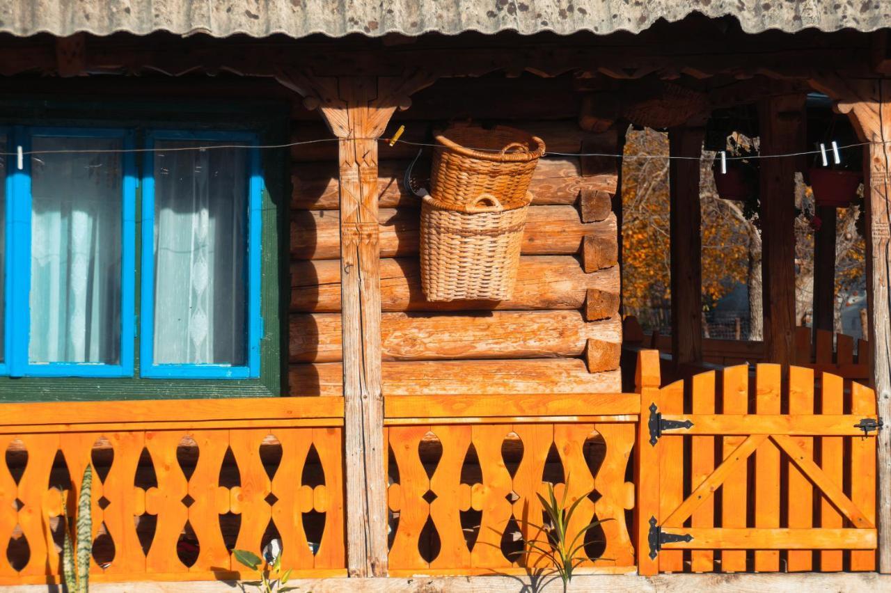 La Rodica In Vale Guest House Ocna Sugatag Ngoại thất bức ảnh