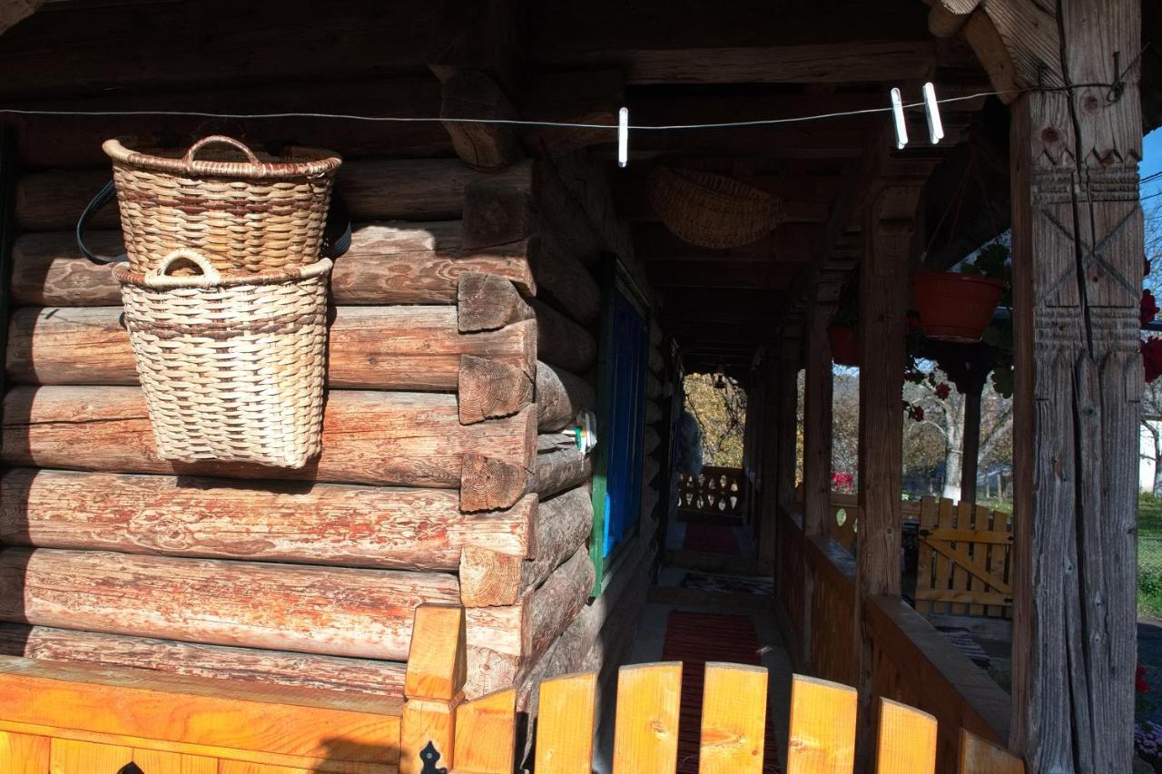 La Rodica In Vale Guest House Ocna Sugatag Ngoại thất bức ảnh