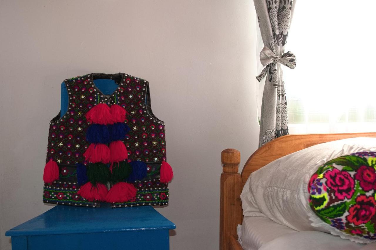La Rodica In Vale Guest House Ocna Sugatag Ngoại thất bức ảnh