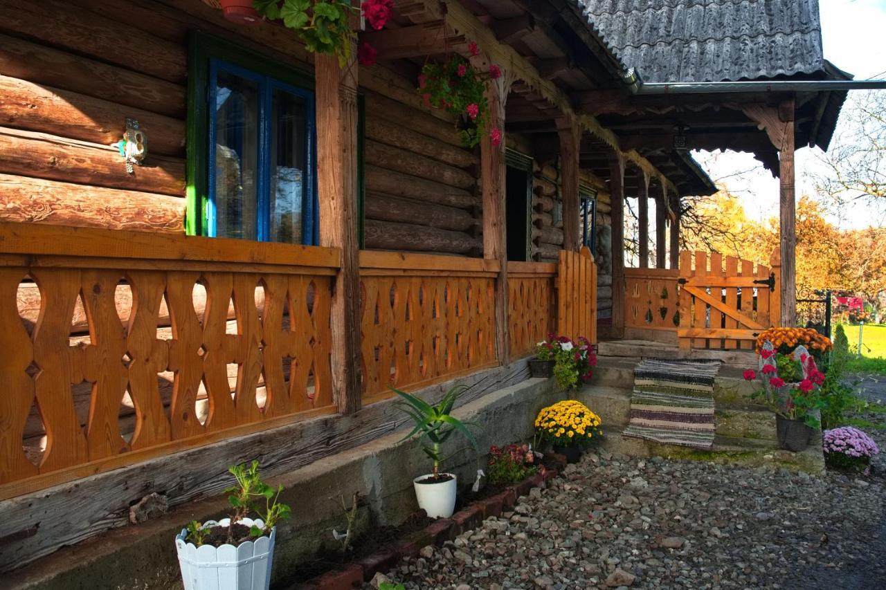 La Rodica In Vale Guest House Ocna Sugatag Ngoại thất bức ảnh