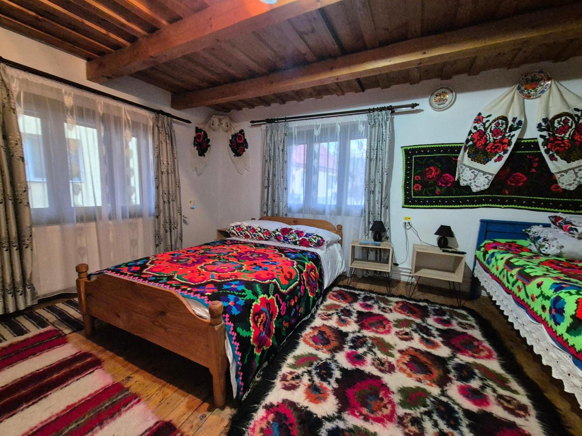 La Rodica In Vale Guest House Ocna Sugatag Ngoại thất bức ảnh